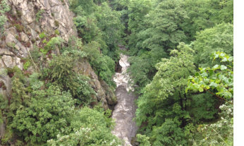 Die Bode am Wanderweg zwischen Treseburg und Thale.